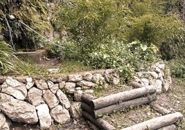 LA FONT DEL XORRADOR