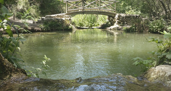 EL MOLÍ DE L’OMBRIA DE BANYERES DE MARIOLA