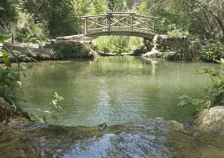 EL MOLÍ DE L’OMBRIA DE BANYERES DE MARIOLA