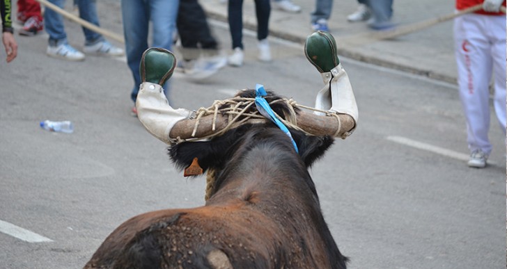 EL ‘BOU DE LA PURÍSSIMA’